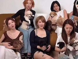赵露思被曝解约复出失败处境尴尬无戏可拍只能倒退做网红